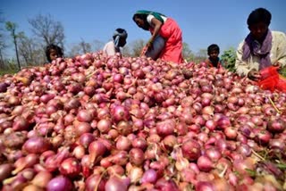 Govt lifts ban on onion exports imposes min export price of $550 per tonne
