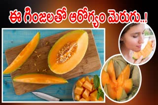 Muskmelon Seeds Health Benefits