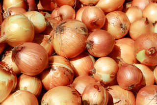 India lifted the restrictions on onion exports from Friday. The decision comes on the heels of robust kharif crop production in 2024 and favourable monsoon forecasts, coupled with stable market conditions both at the mandi and retail levels.