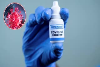 Covishield Side Effects