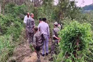 Man kills wife and buries