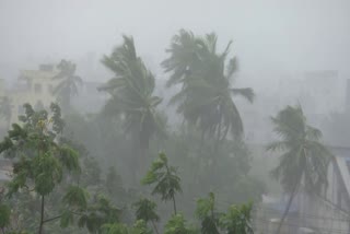 Heavy Rains