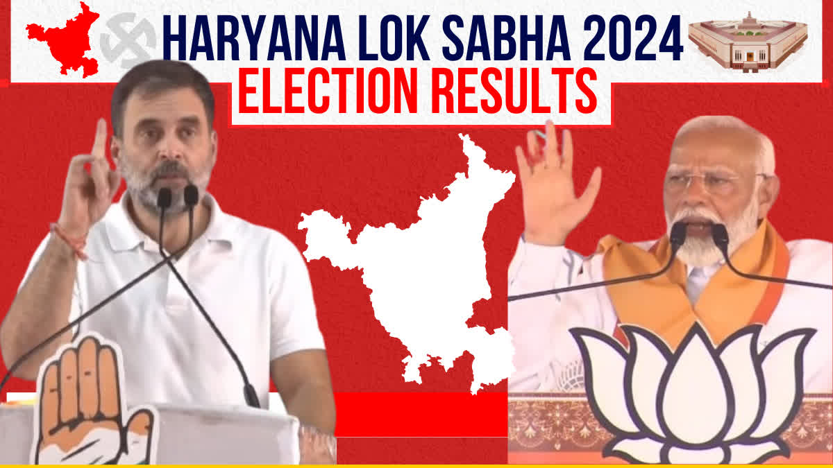 HARYANA LOK SABHA ELECTION RESULT 2024