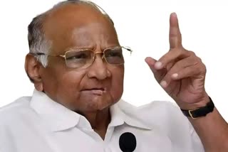 sharad pawar news