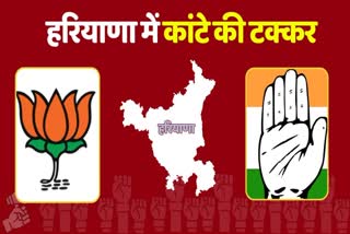 Haryana Lok Sabha Close Contest