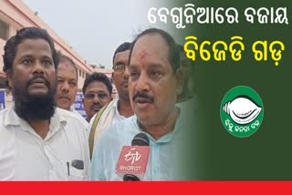 BJD Wins In Begunia