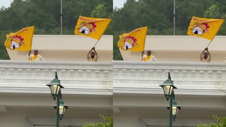 tdp_flag_on_vizag_rushikonda_palace