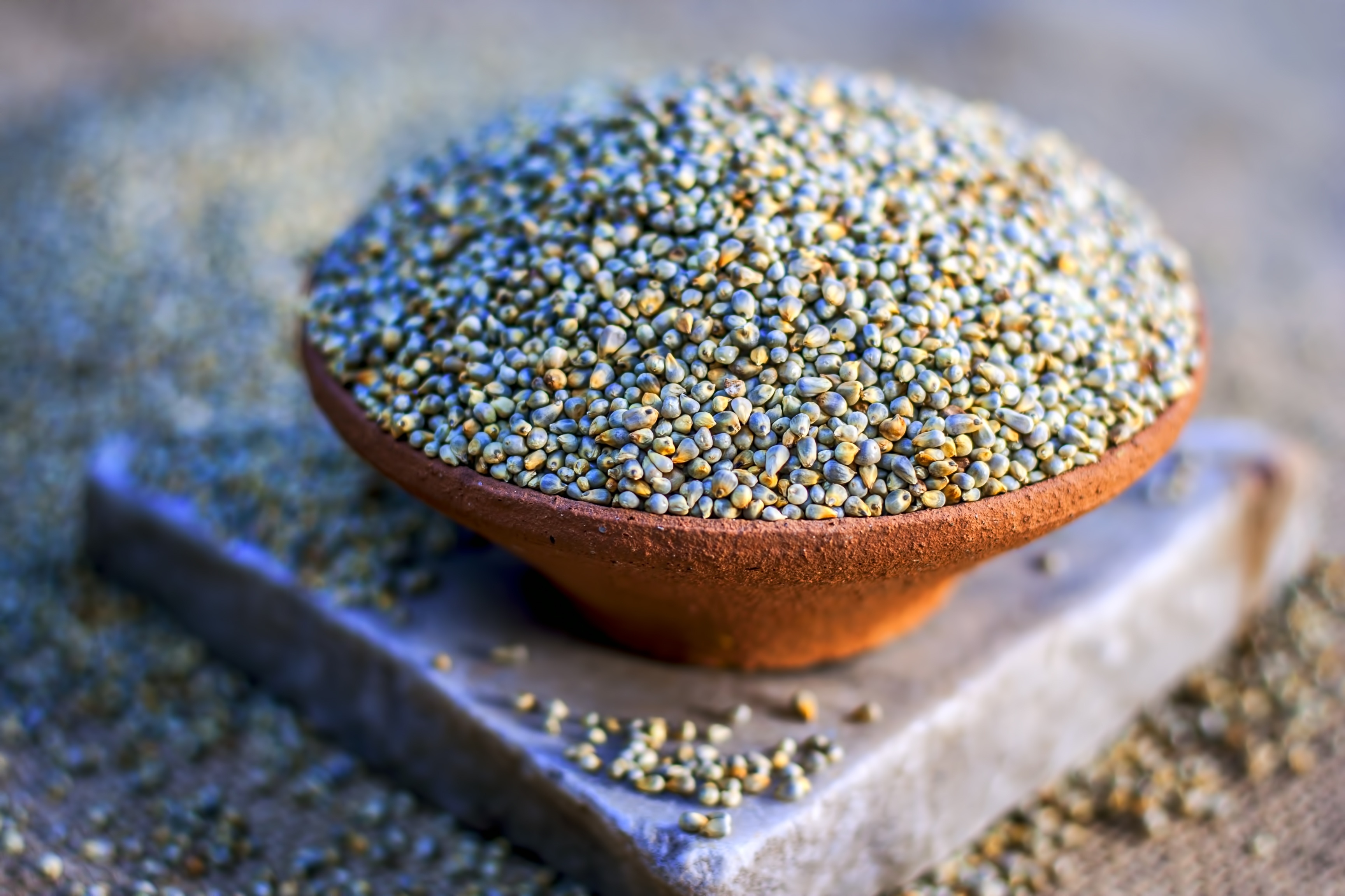 bajra