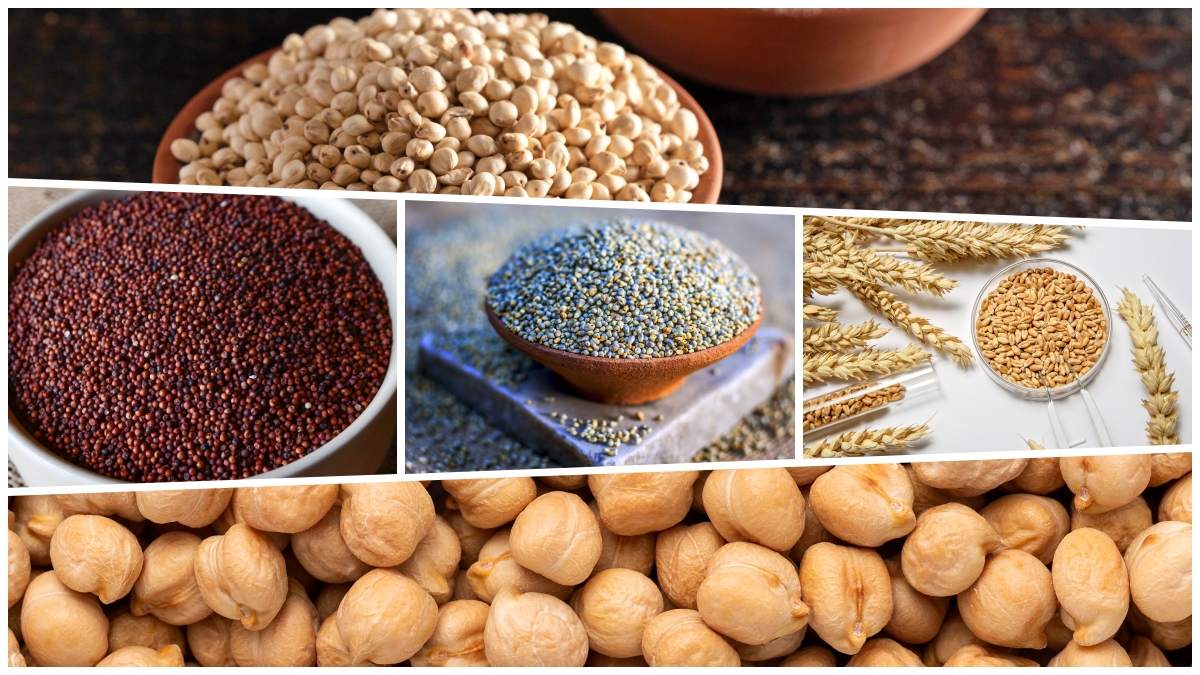 multigrain_flour