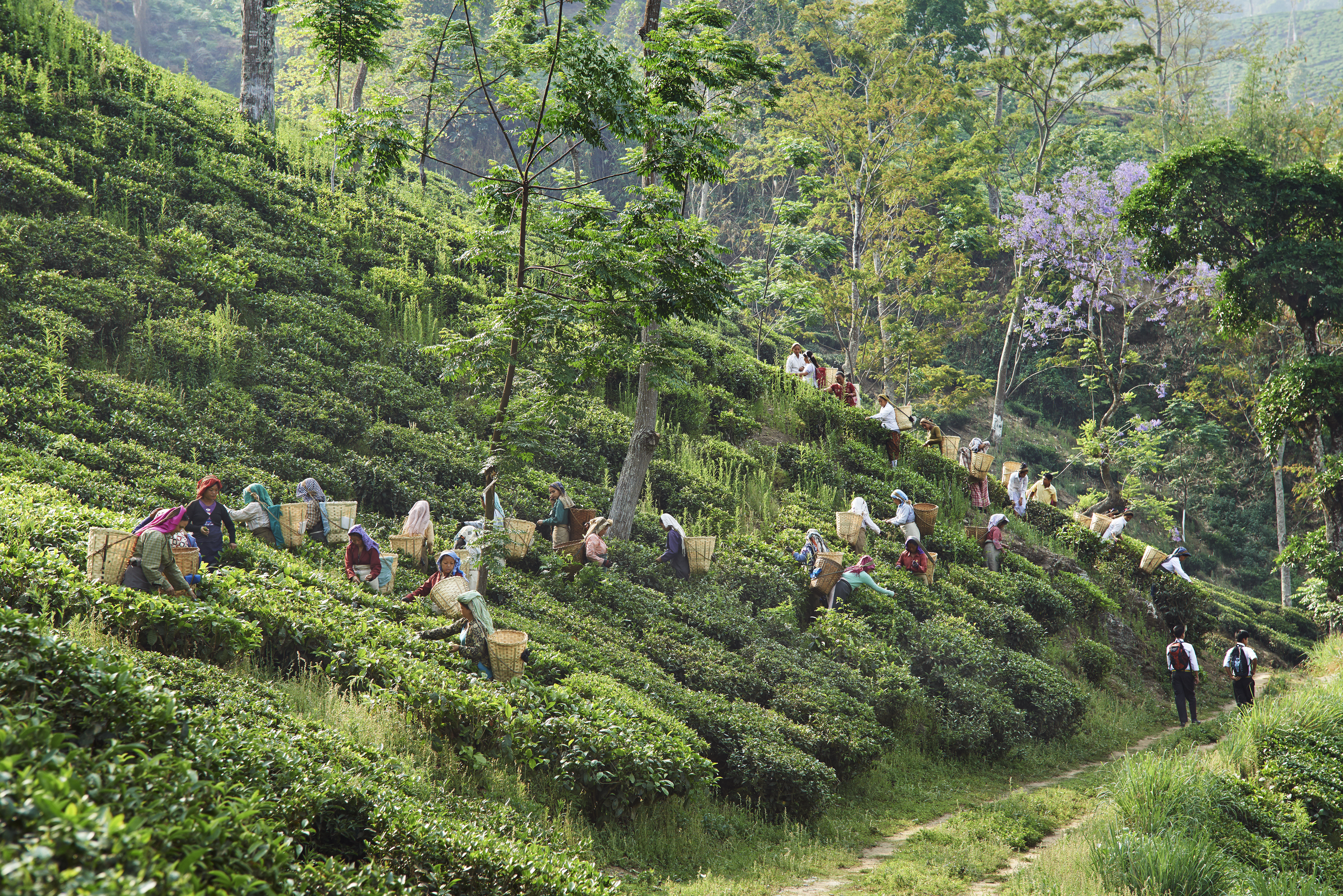 honeymoon places in india