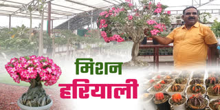 ETV Bharat