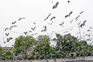 Thunderstorms And Rain Predicted For Delhi Today