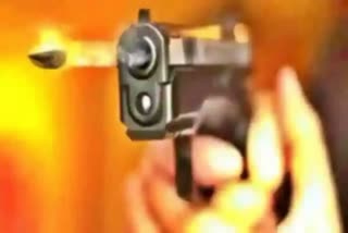 Criminals shot truck driver