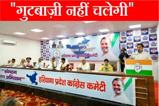 Rahul Gandhi Meeting with Haryana Congress Leaders in Chandigarh Showed strictness regarding factionalism