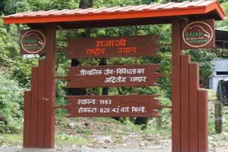 TIGER RESERVE  UTTARAKHAND FAMOUS PARK  WILDLIFE PARADISE OF INDIA  TREKKING