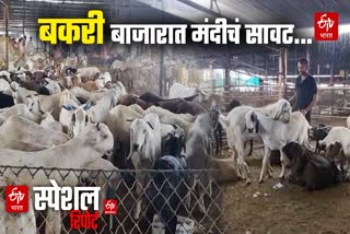 Bakri Eid 2025