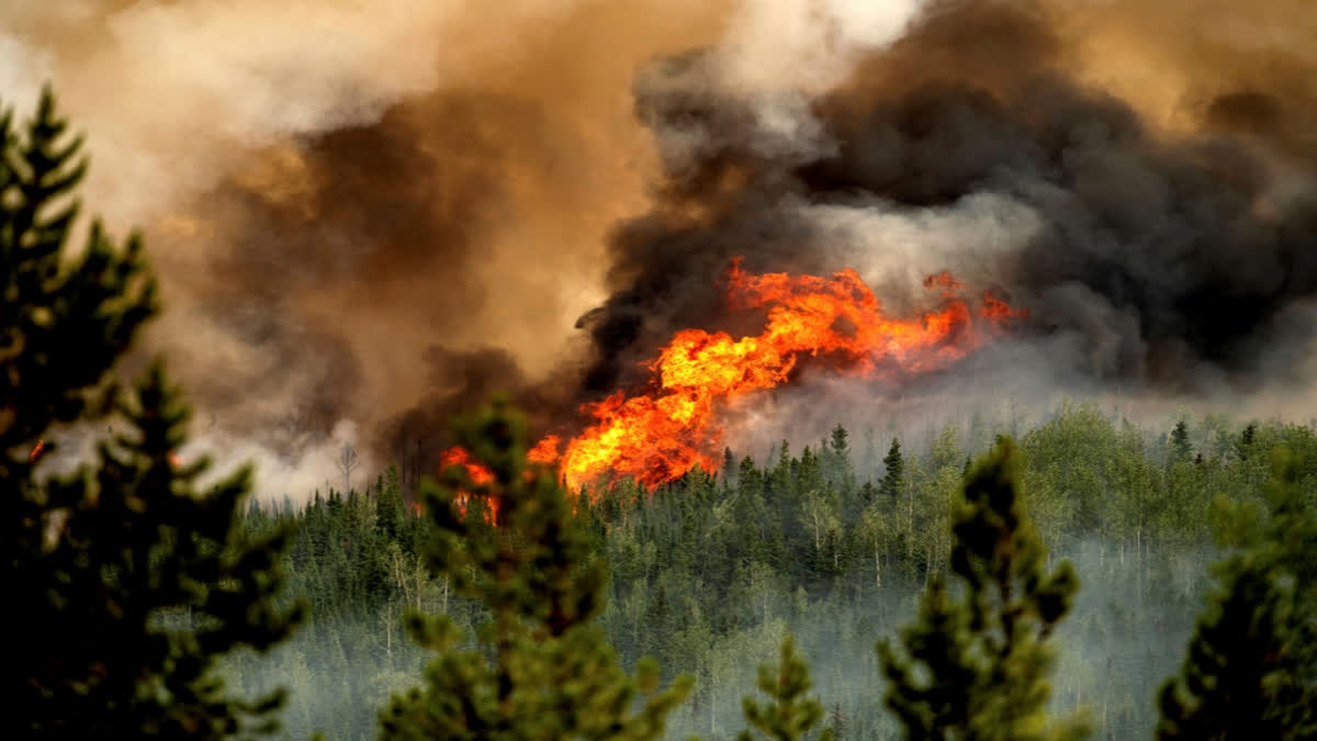 Wildfire destroys several structures in southwestern Washington's Skamania County