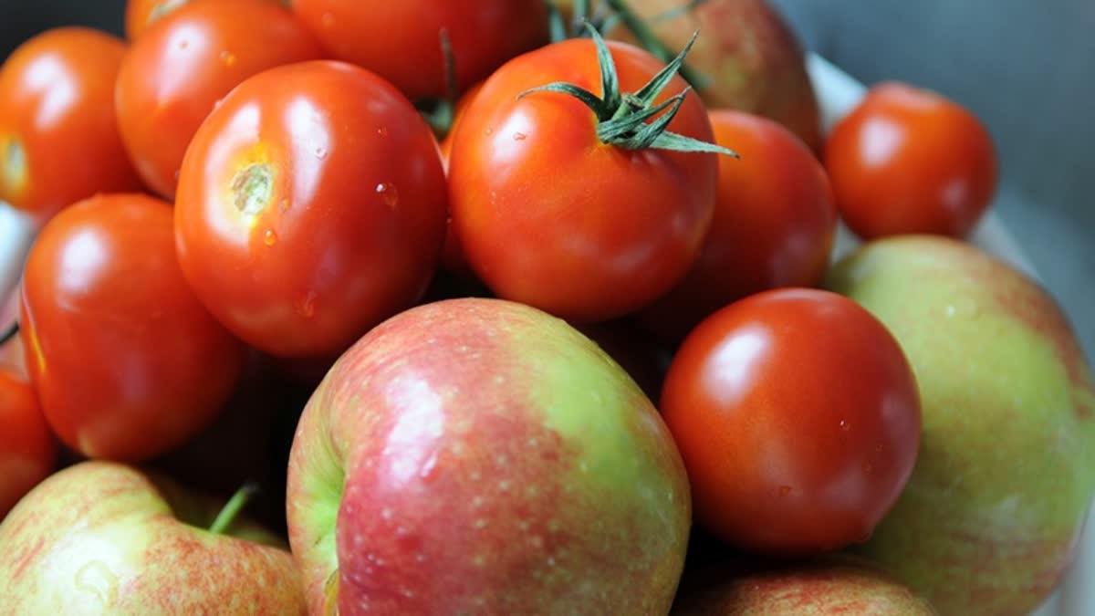 Tomatoes turn costlier than apples  Tomatoes turn costlier than apples at Himachal  തക്കാളി  തക്കാളിക്ക് വില ഉയരുന്നു  ഹിമാചലിൽ തക്കാളിക്ക് ആപ്പിളിനെക്കാൾ വില  തക്കാളി വില കുതിച്ചുയരുന്നു  Tomato  ആപ്പിളിനെയും കടത്തിവെട്ടി തക്കാളി  തക്കാളിക്ക് ആപ്പിളിനെക്കാൾ വില