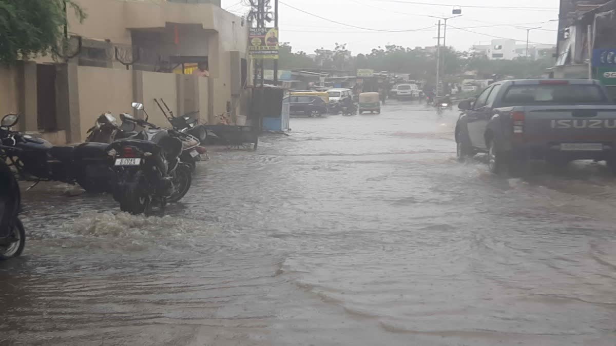 Bhavnagar News : ભાવનગરમાં નાગરિકોની ભૂલના કારણે સમસ્યા ઉભી થાય, વરસાદી પાણી ભરાવાના તારણો તંત્ર એ આપ્યા