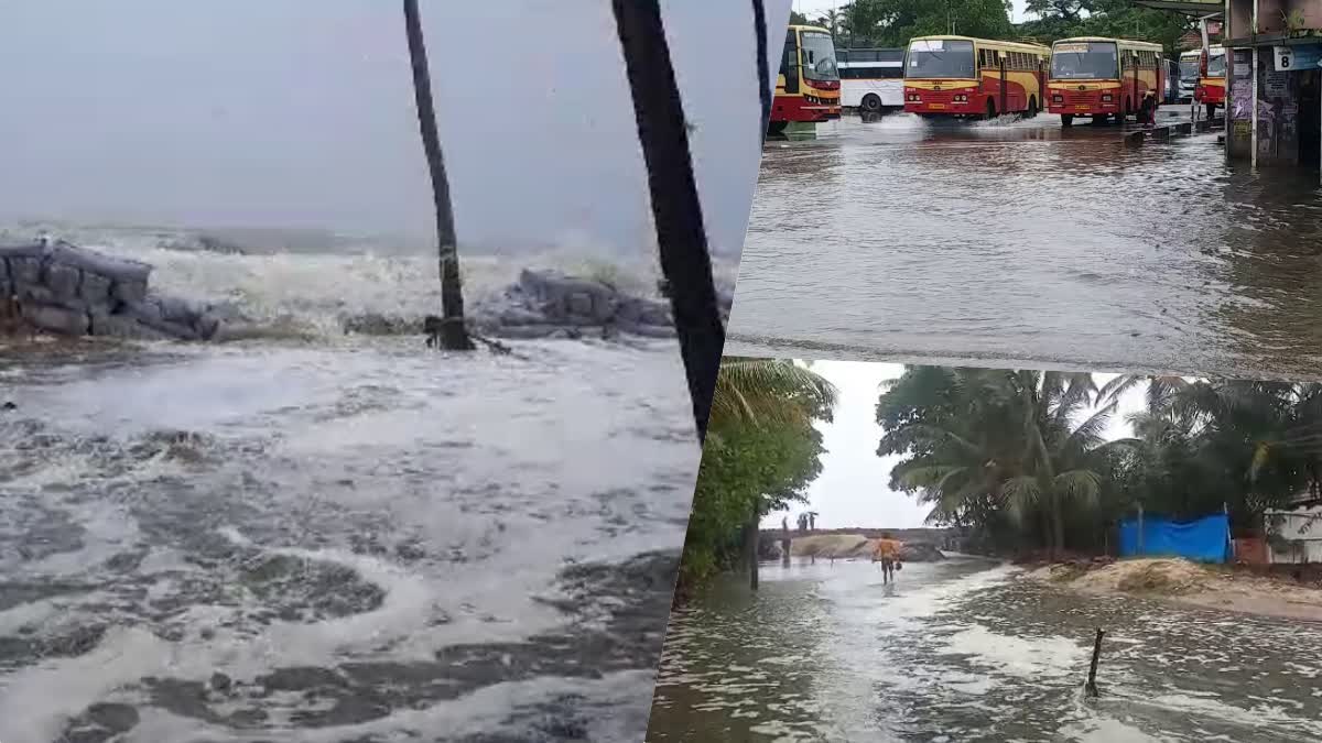 Sea erosion and Rain updates in Ernakulam  Sea erosion  Rain updates in Ernakulam  എറണാകുളത്ത് കനത്ത മഴ  തീരദേശങ്ങളില്‍ കടലാക്രമണം രൂക്ഷം  ഓറഞ്ച് അലര്‍ട്ട്  കൊച്ചി  എറണാകുളം വാര്‍ത്തകള്‍  എറണാകുളം ജില്ല വാര്‍ത്തകള്‍  എറണാകുളം പുതിയ വാര്‍ത്തകള്‍  kerala rain updates  latest news in kerala