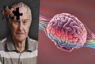 By 2050, the number of Alzheimer's patients will triple! Know how to reduce the risk?