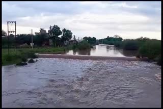 Rajkot Rain: ગોંડલમાં પંથકમાં સાંબેલાધાર વરસાદ, બાંદરામાં 5 ઇંચ, દેરડીમાં વગર વરસાદે પુર આવ્યું