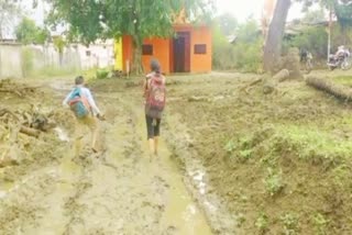 Betul News Villagers troubled basic facilities
