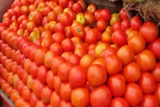 Etv tomatoes-turn-costlier-than-apples-at-himachal-pradeshs-solan-market
