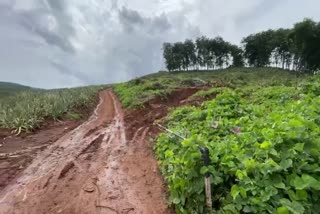 ശബരിമല വിമാന താവള പദ്ധതി സാമൂഹിഘാത അന്തിമറിപ്പോർട്ട് പ്രസദ്ധീകരിച്ചു  Social impact assessment report  Sabarimala airport  Sabarimala airport Social impact assessment  Sabarimala airport  250 വീടുകളെ പൂര്‍ണമായും ബാധിക്കും  അന്തിമ സാമൂഹികാഘാത റിപ്പോര്‍ട്ട് പുറത്ത്  ശബരിമല വിമാന താവള പദ്ധതി