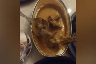 A video of a dead rat found in a mutton dish at a famous restaurant in Punjab's Ludhiana is making rounds on social media. The video was shared by a social media user on Twitter which has triggered outrage among internet users. In the viral video, the customer was seen taking out a cooked rat from a mutton curry and showing it off to the camera.