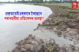 assam erosion news