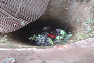 Jharkhand: Six killed, two injured after car falls into well