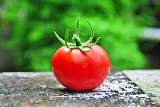 Tomato Price Rise