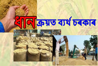 minimum support price of paddy