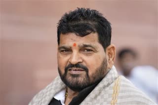 Brij Bhushan Sharan Singh