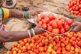 Tomatoes at ration shops in Tamil Nadu