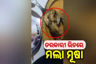 Dead rat found in mutton dish