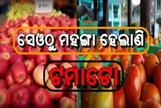 ହିମାଚଳରେ ରେକର୍ଡ କଲା ଟମାଟୋ ଦର