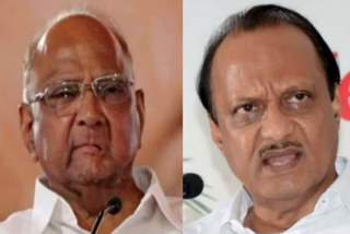 Sharad Pawar warns Ajit Pawar