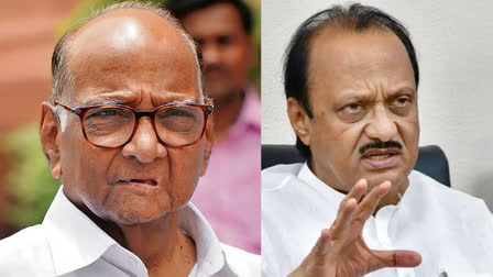 NCP vs NCP: Ajit Pawar claims he has support of majority MLAs