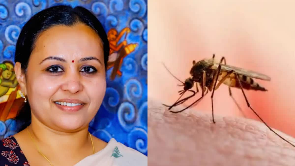 ഡെങ്കിപ്പനി  DENGUE FEVER  HEALTH MINISTER VEENA GORGE  ഡെങ്കിപ്പനി പകർച്ച