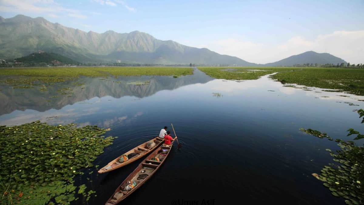 Two Kashmiri men row their boats in the Dal Lake on a summer day in Srinagar
