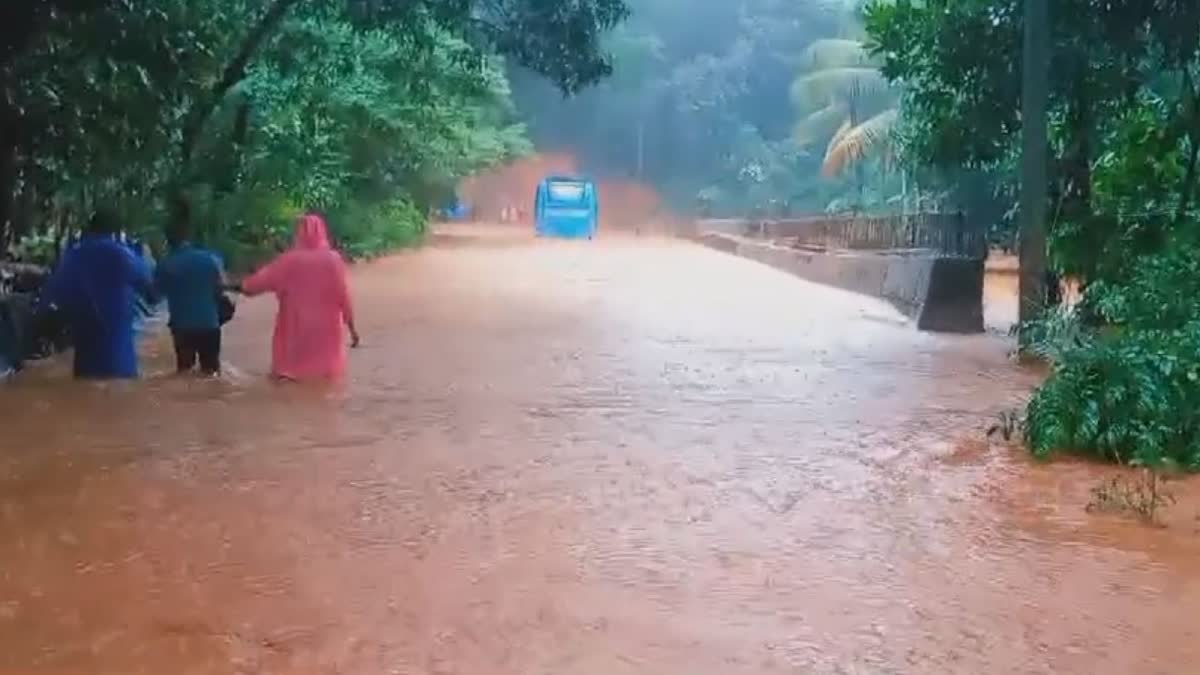 HEAVY RAIN