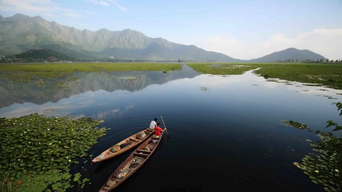 Two Kashmiri men row their boats in the Dal Lake on a summer day in Srinagar.