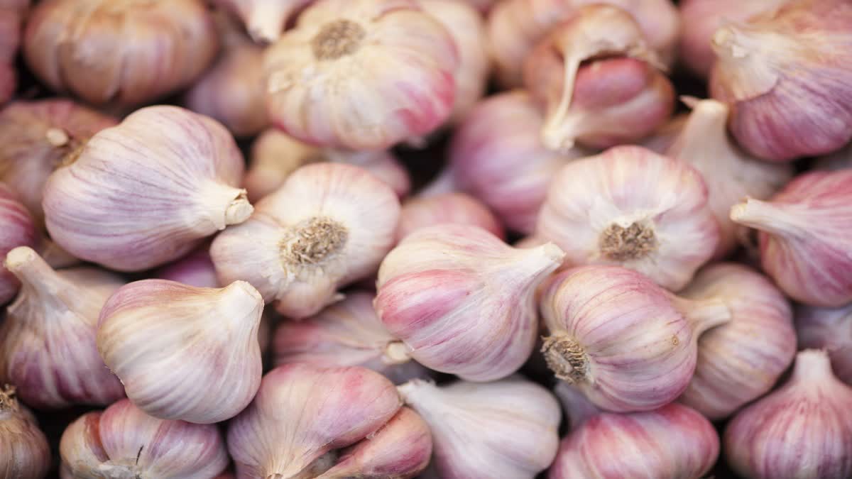 Benefits Of Garlic Under The Pillow