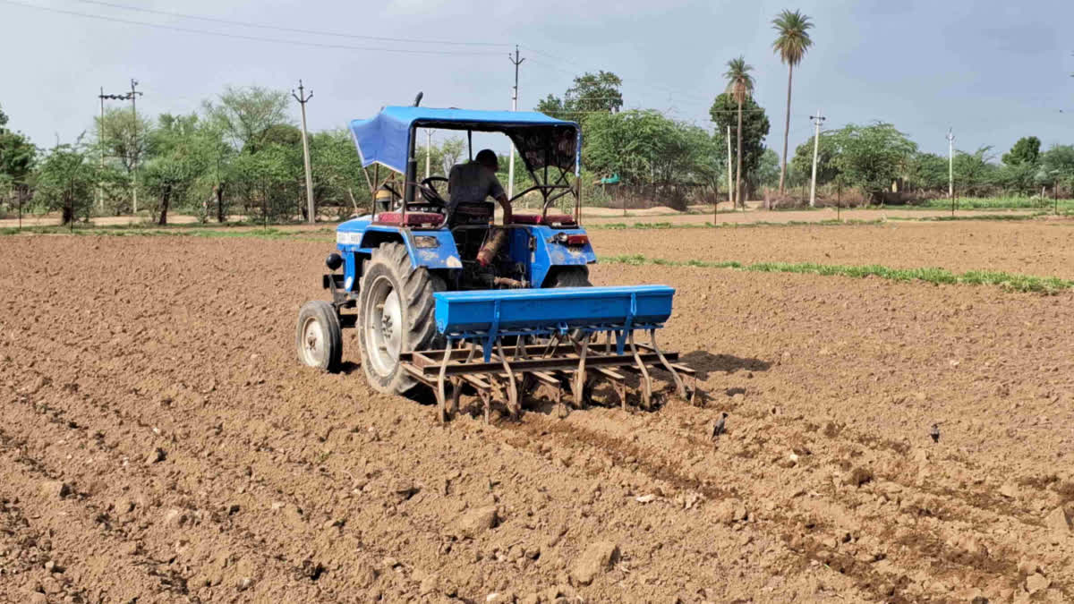 Kharif sowing  in Bhilwara