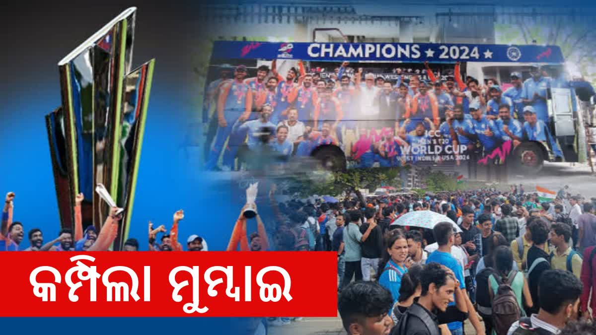 T20 WORLD CUP GLORY CELEBRATIONS