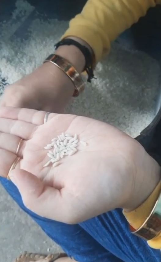 اتراکھنڈ میں پلاسٹک کے چاولوں کا ویڈیو وائرل، محکمہ حرکت میں آیا، بتایا حقیقت کیا ہے؟