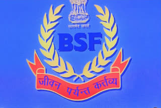 BSF Troops Nab Pak National in Punjab's Ferozepur