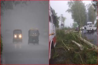 Monsoon in Haryana